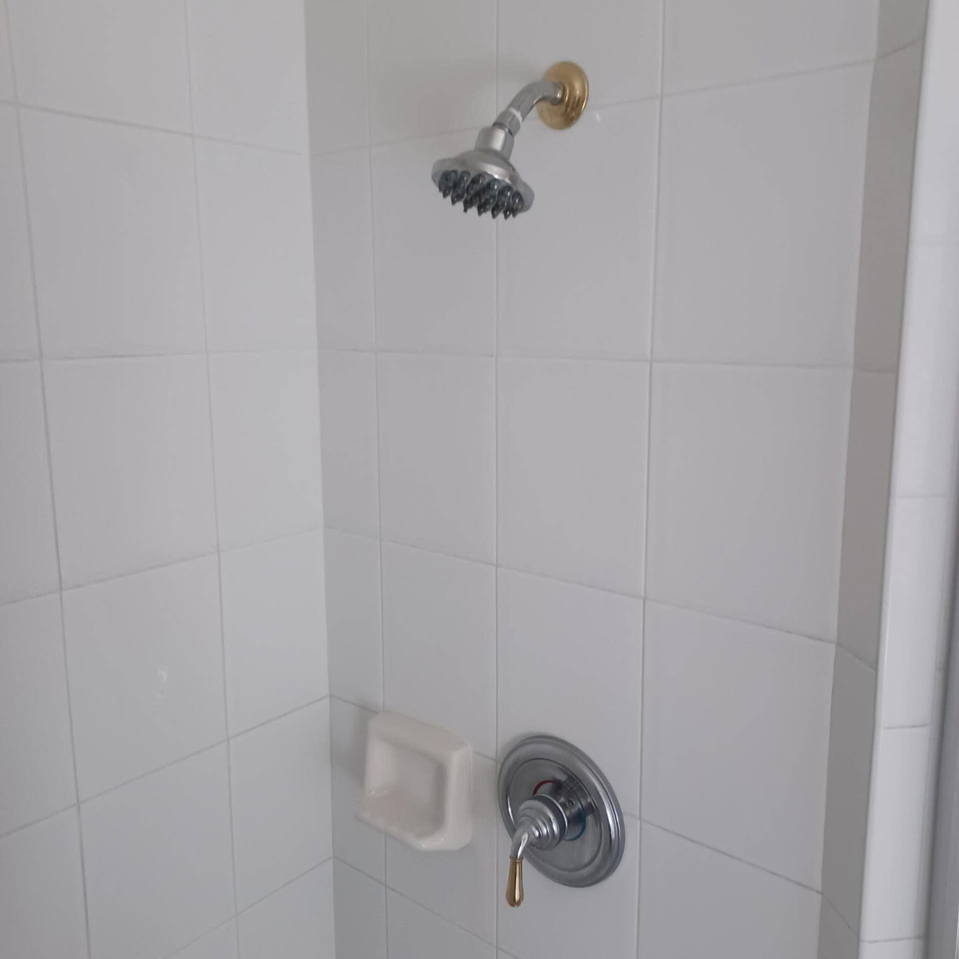 PRESTON SHOWER