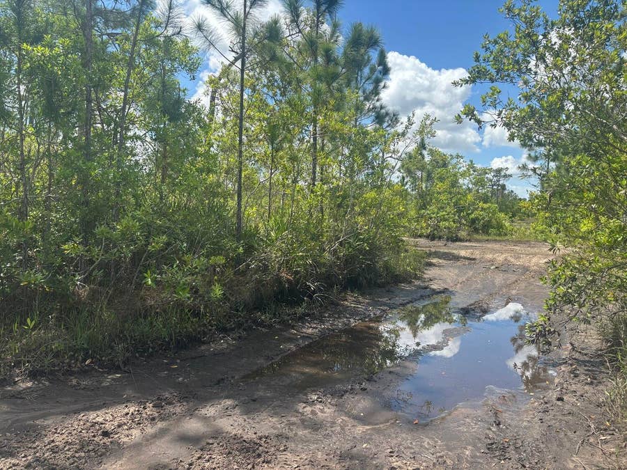 Property photo for 0 Holopaw Groves Road, St Cloud, FL