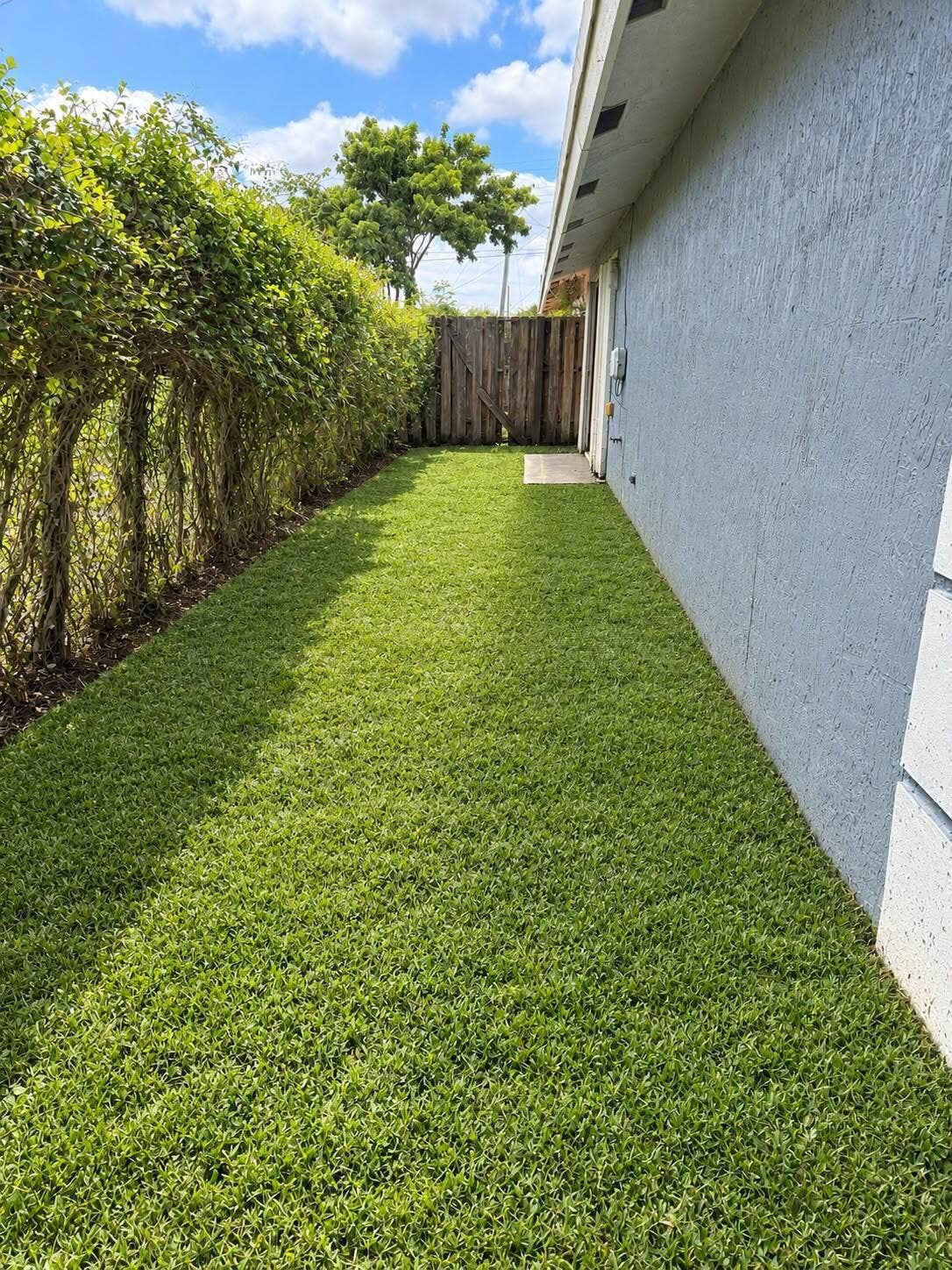 171 SE 3RD Street, #B, Deerfield Beach, FL 33441 Backyard