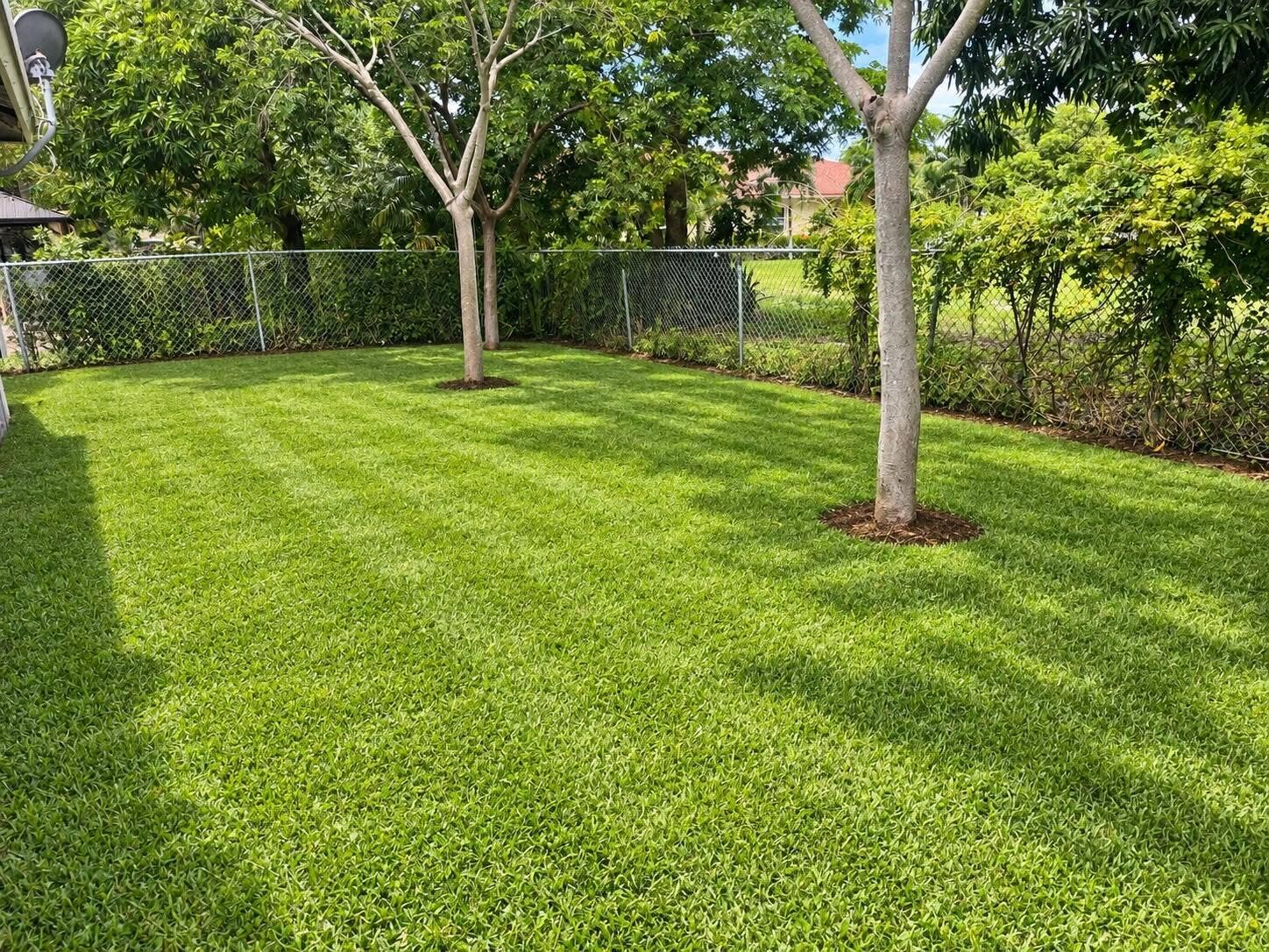 171 SE 3RD Street, #B, Deerfield Beach, FL 33441 Backyard