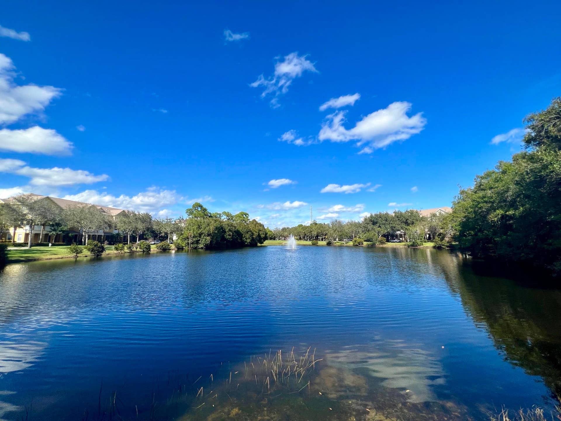 118 BLACK IRONWOOD Road, #105, Jupiter, Jupiter, FL 33458 Lake 1