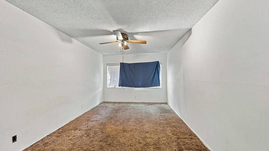 4311 CRYSTAL LAKE Drive, #110, Deerfield Beach, FL 33064 Window with partial covering, ceiling fan with integrated lighting, textured ceiling, light-toned walls, and carpet flooring