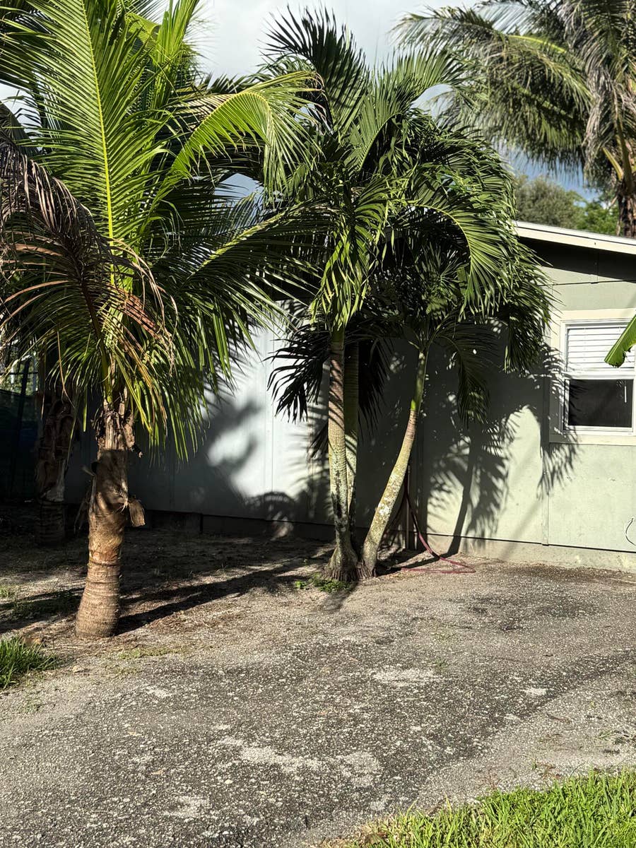 Property photo for 151 Valencia Drive, Loxahatchee, FL