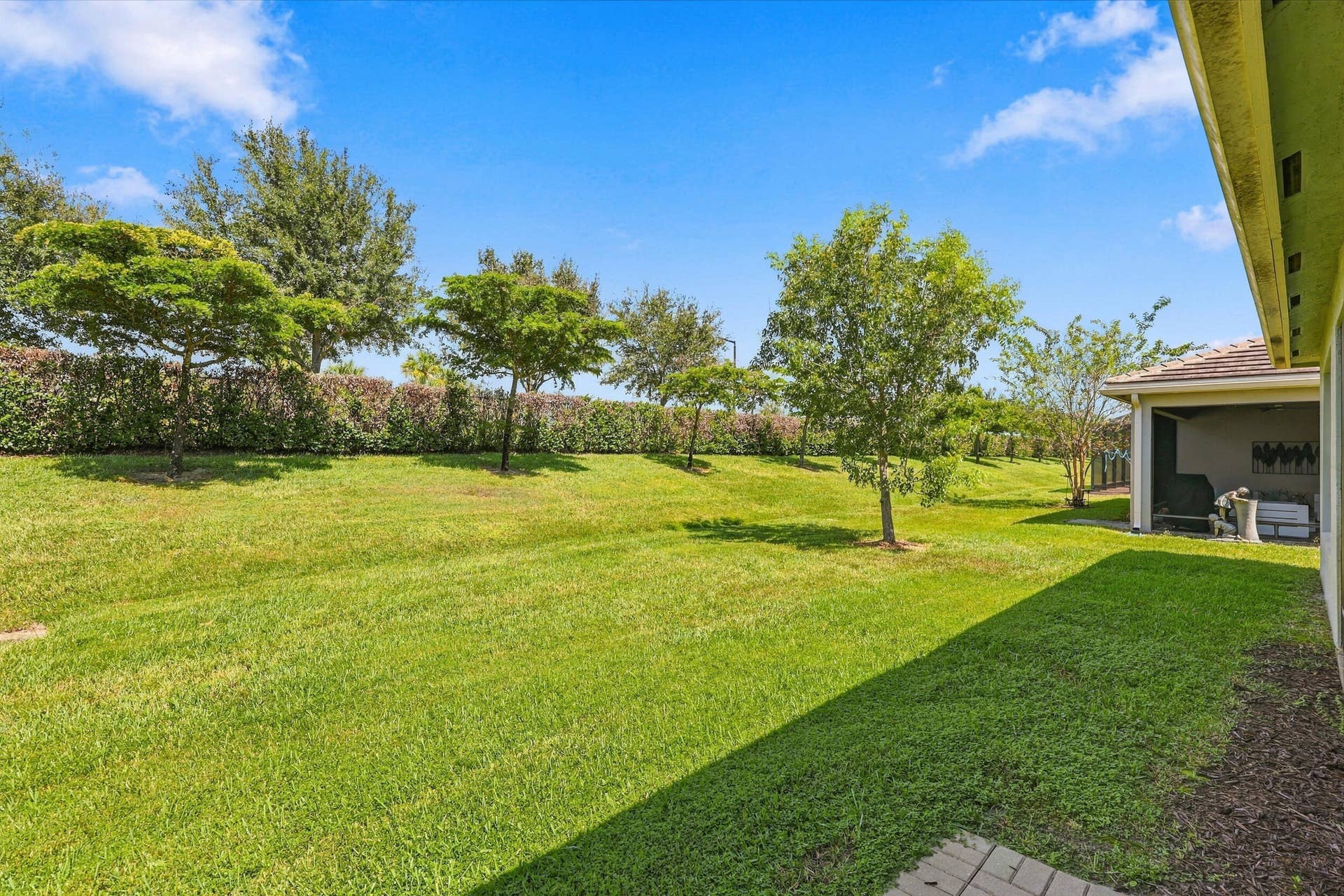 backyard view 2