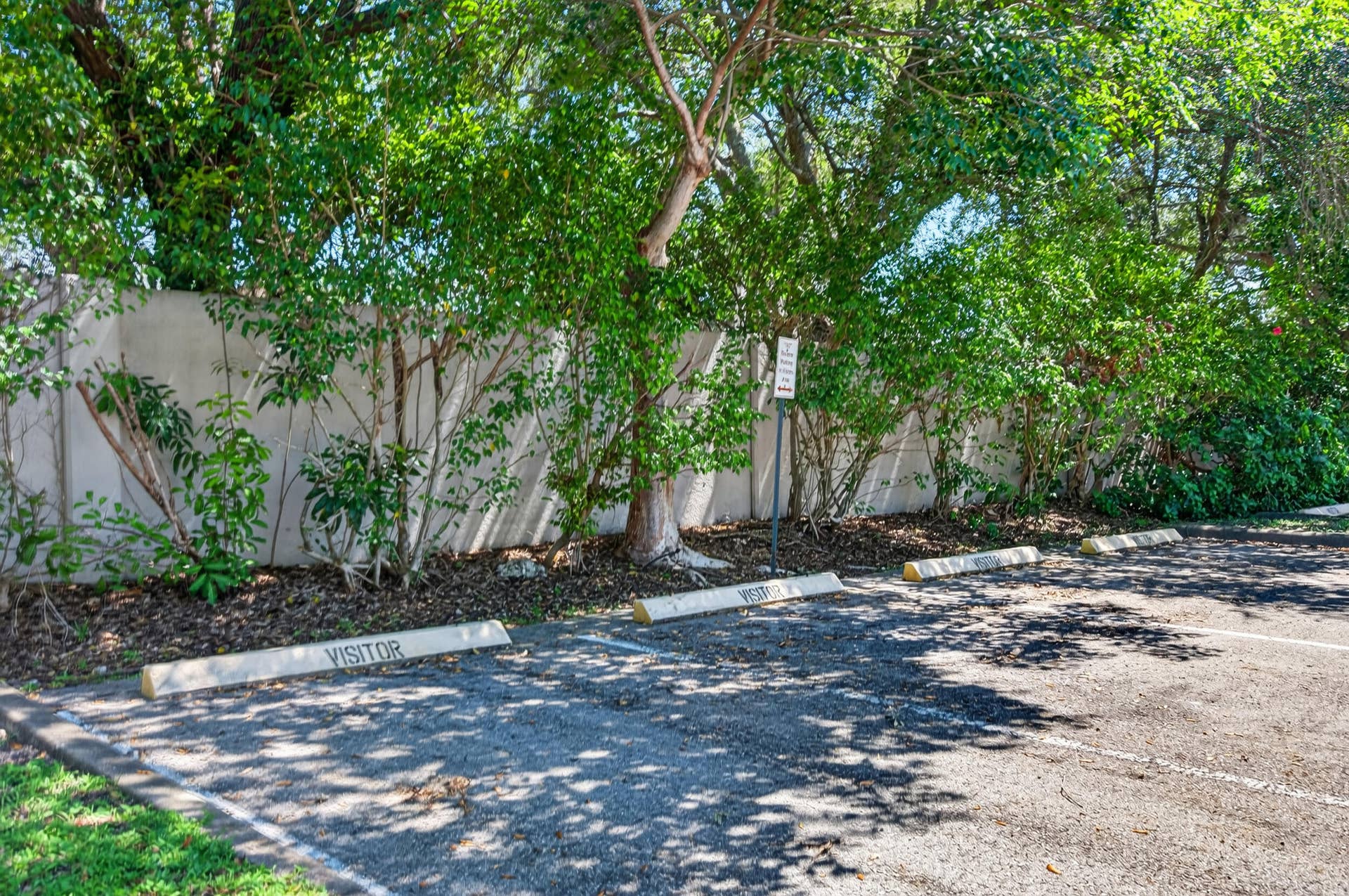 10717 Cleary Boulevard, #211, Plantation, Plantation, FL 33324 10717 unit 211-50