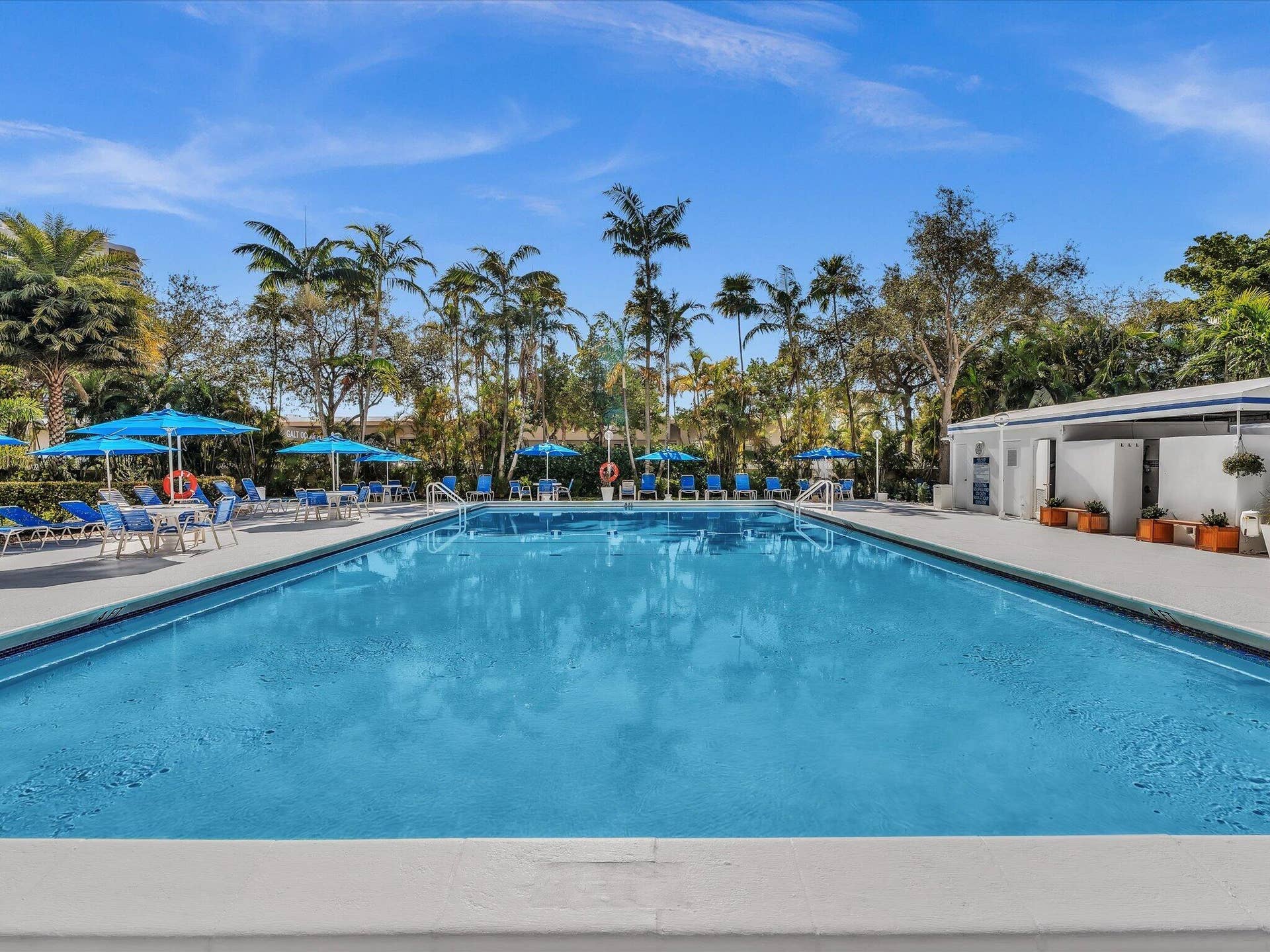 3333 NE 34TH Street, #418, Fort Lauderdale, FL 33308 Huge salt water pool