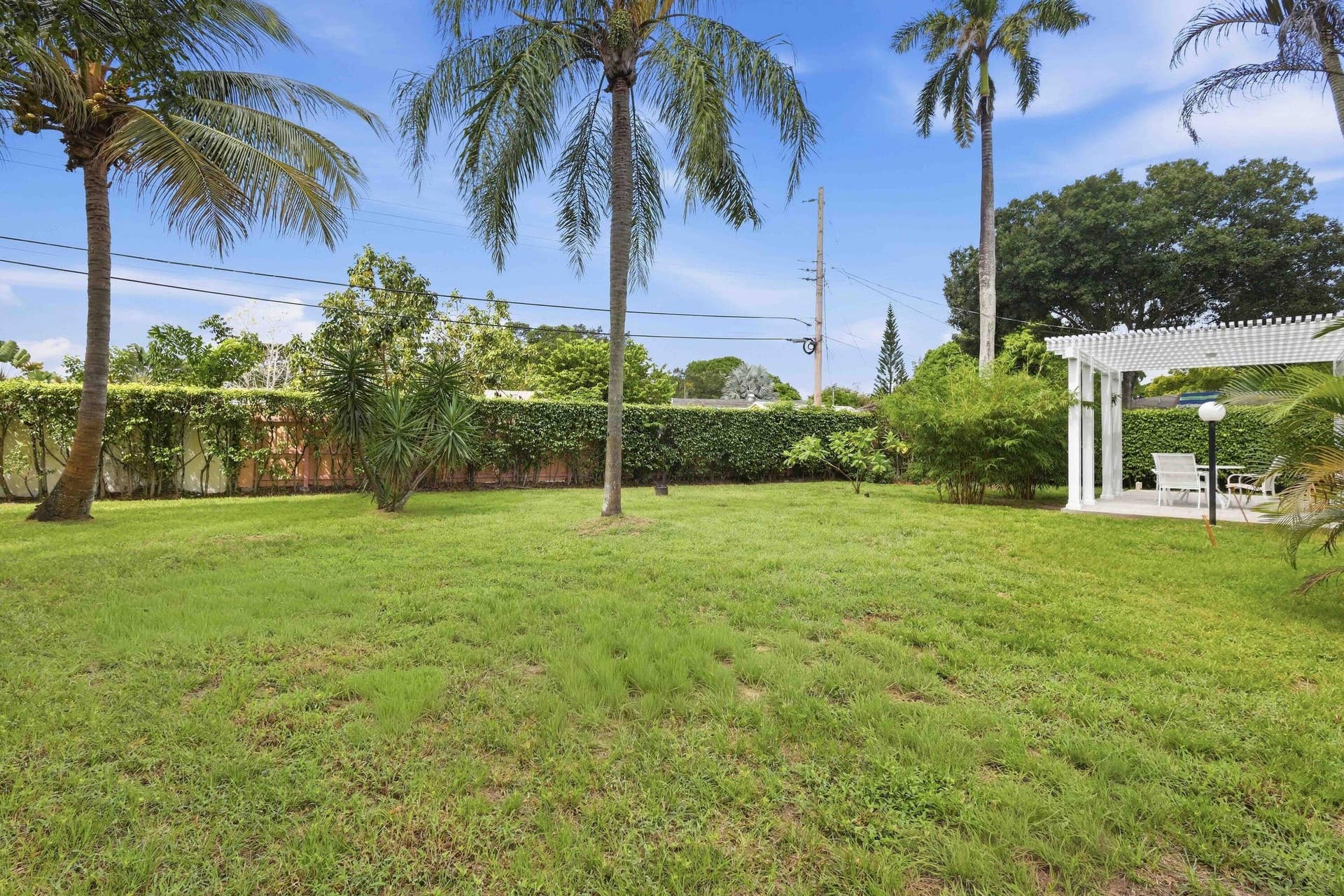 Expansive lawn area featuring mature palm trees and established perimeter hedging