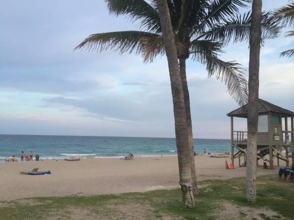 1523 E HILLSBORO Boulevard, #838, Deerfield Beach, Deerfield Beach, FL 33441 Photo 34