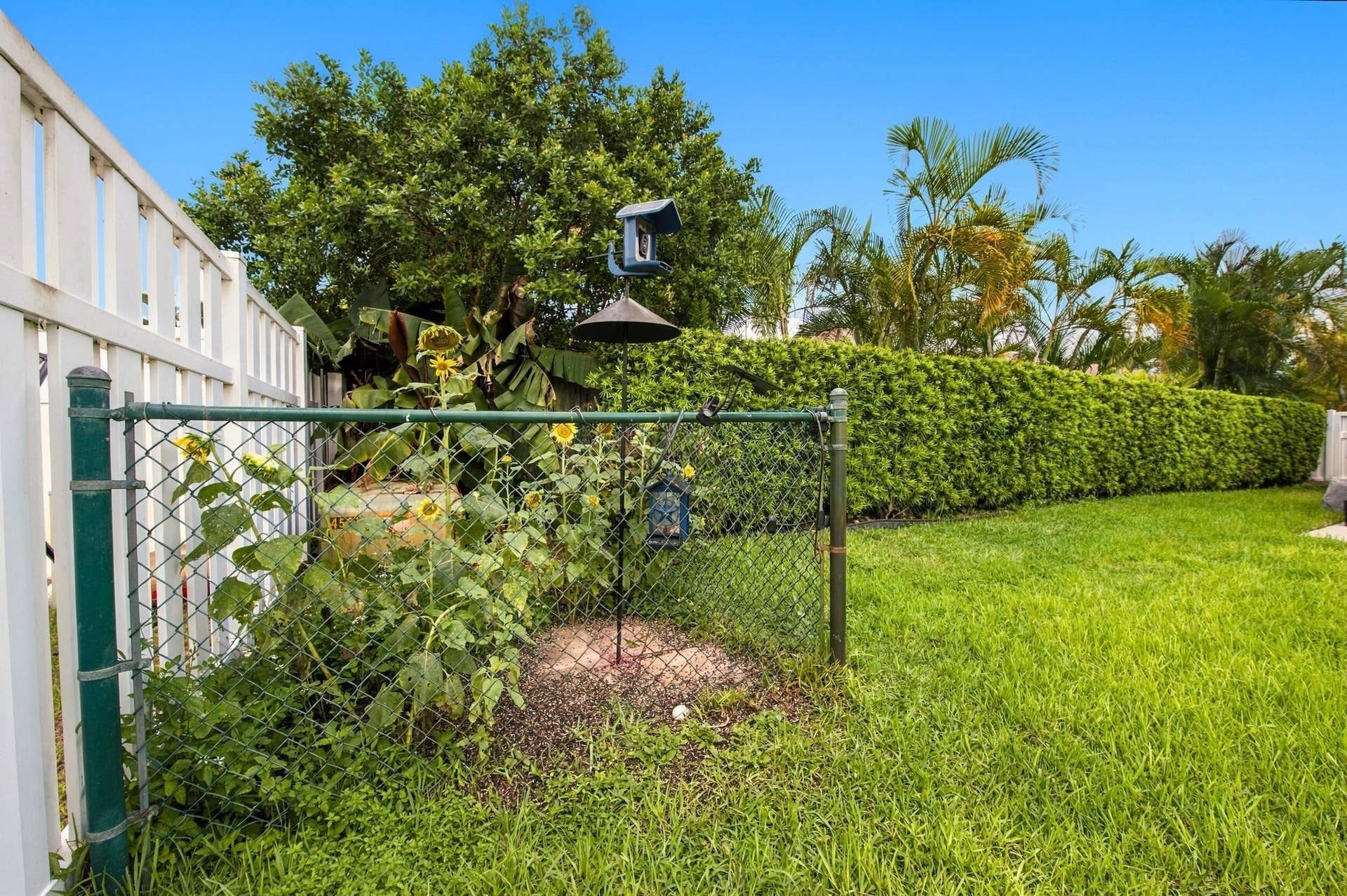 626 NW 100th Way, Coral Springs, FL 33071 47__dsc6657