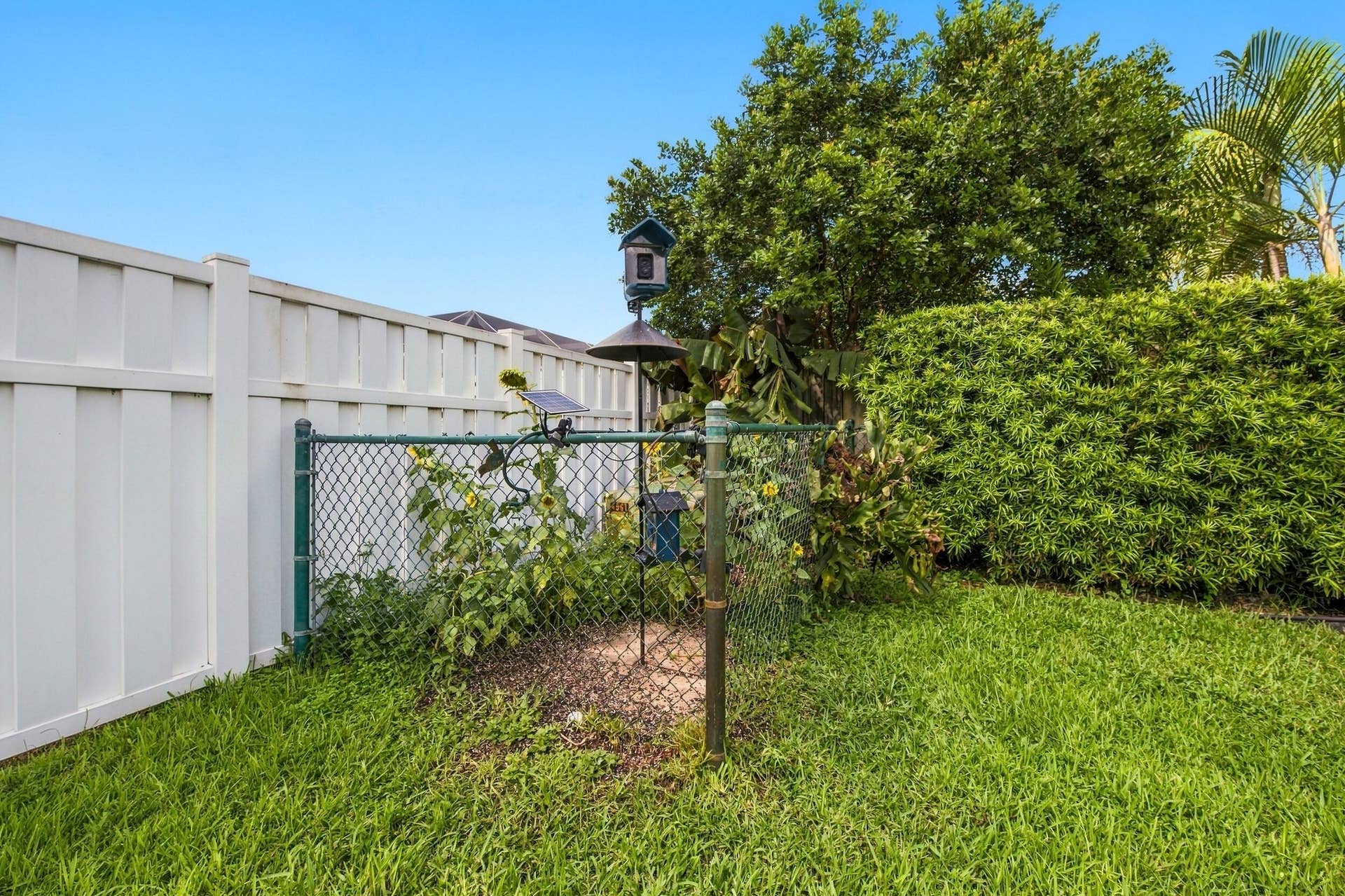626 NW 100th Way, Coral Springs, FL 33071 48__dsc6662