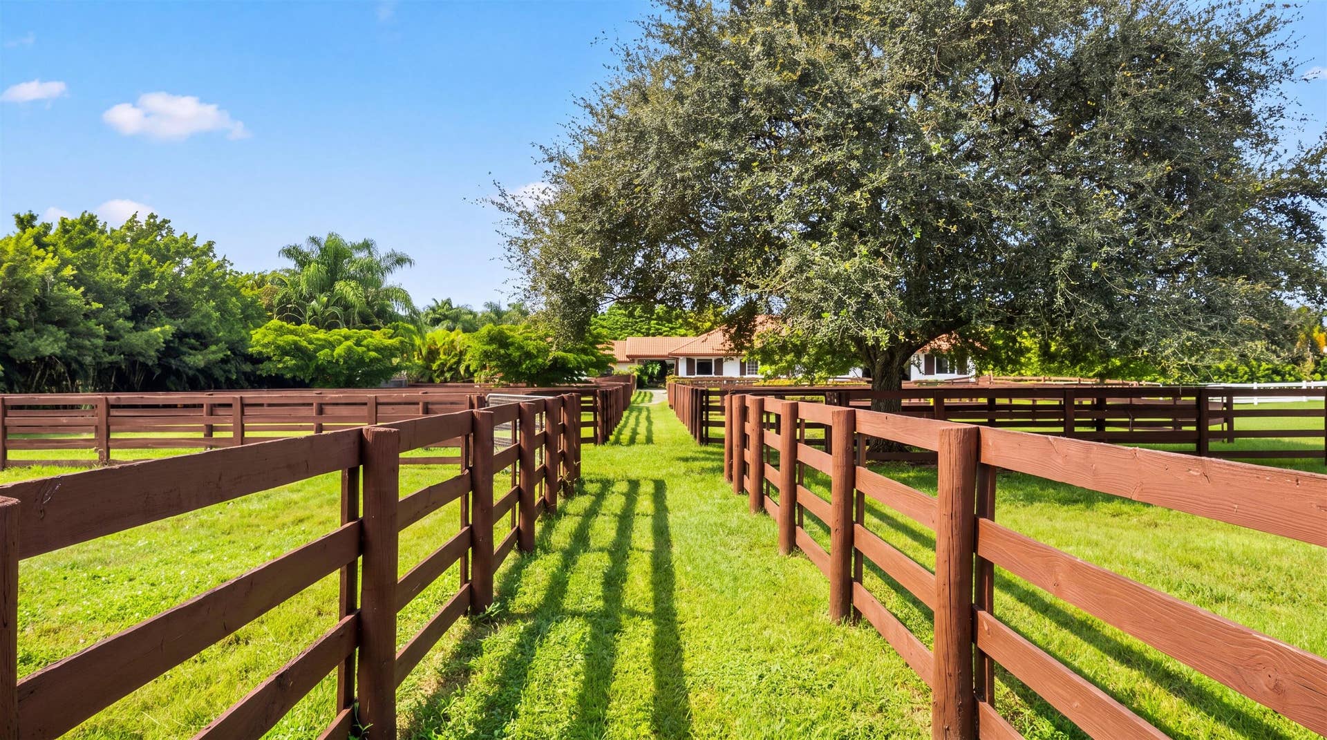 20-14883 Equestrian Way