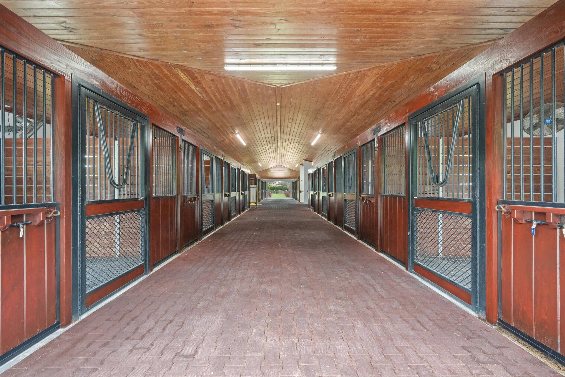 01-DSC_5437