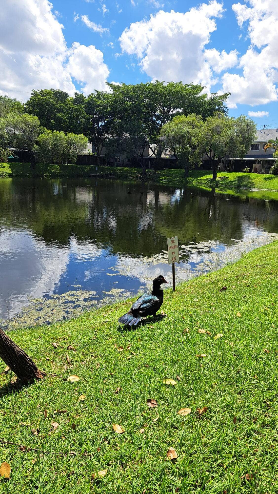 2226 DISCOVERY Circle W, Deerfield Beach, FL 33442 2226 Discovery Cir W Deerfield Beach, FL