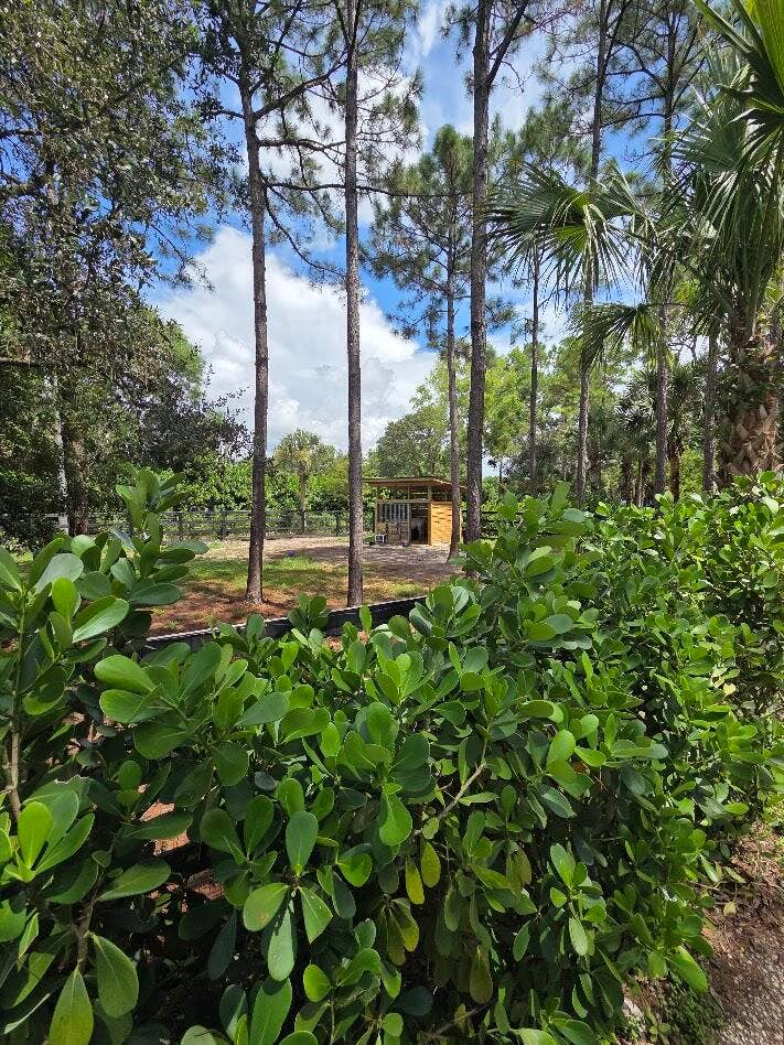 930 Rambling Drive Circle, #LITTLE RANCHES, Wellington, FL 33414 x4