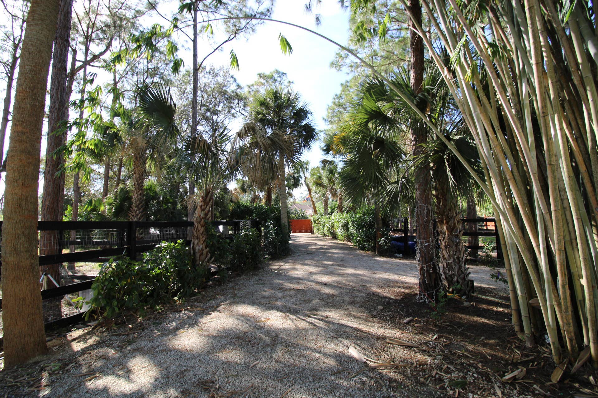 930 Rambling Drive Circle, #LITTLE RANCHES, Wellington, FL 33414 Palm boulevard style driveway
