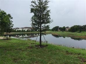 Backyard water view