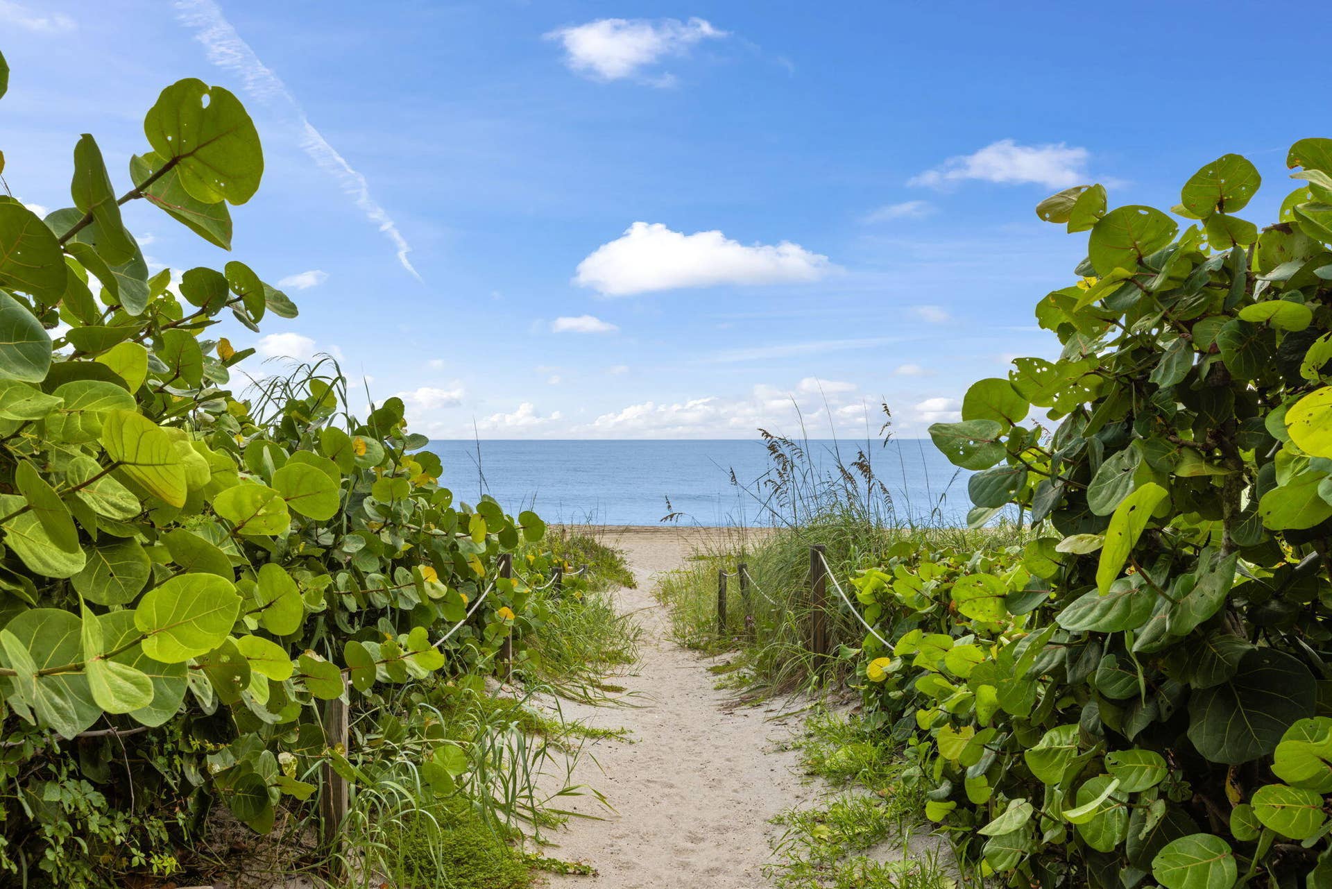 2773 S Ocean Boulevard, #517, Palm Beach, Palm Beach, FL 33480 Deede beach path across the way