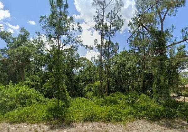 Property photo for 2117 IRVING Avenue, Alva, FL