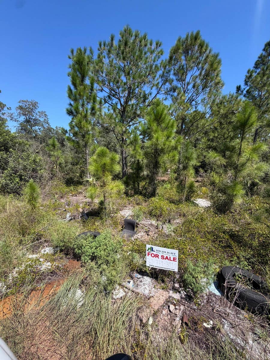 Property photo for 375 CONCERT Drive, Lake Placid, FL