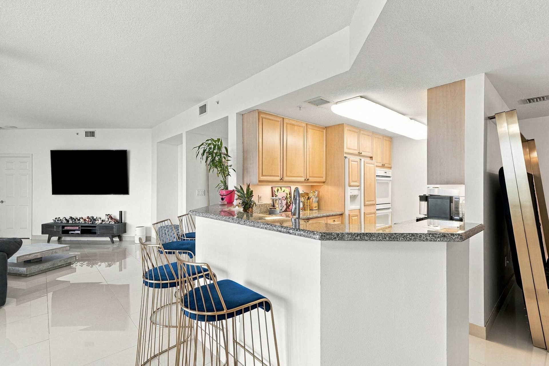 6001 N OCEAN Drive, #503, Hollywood, FL 33019 12_dsc04667_with_tv