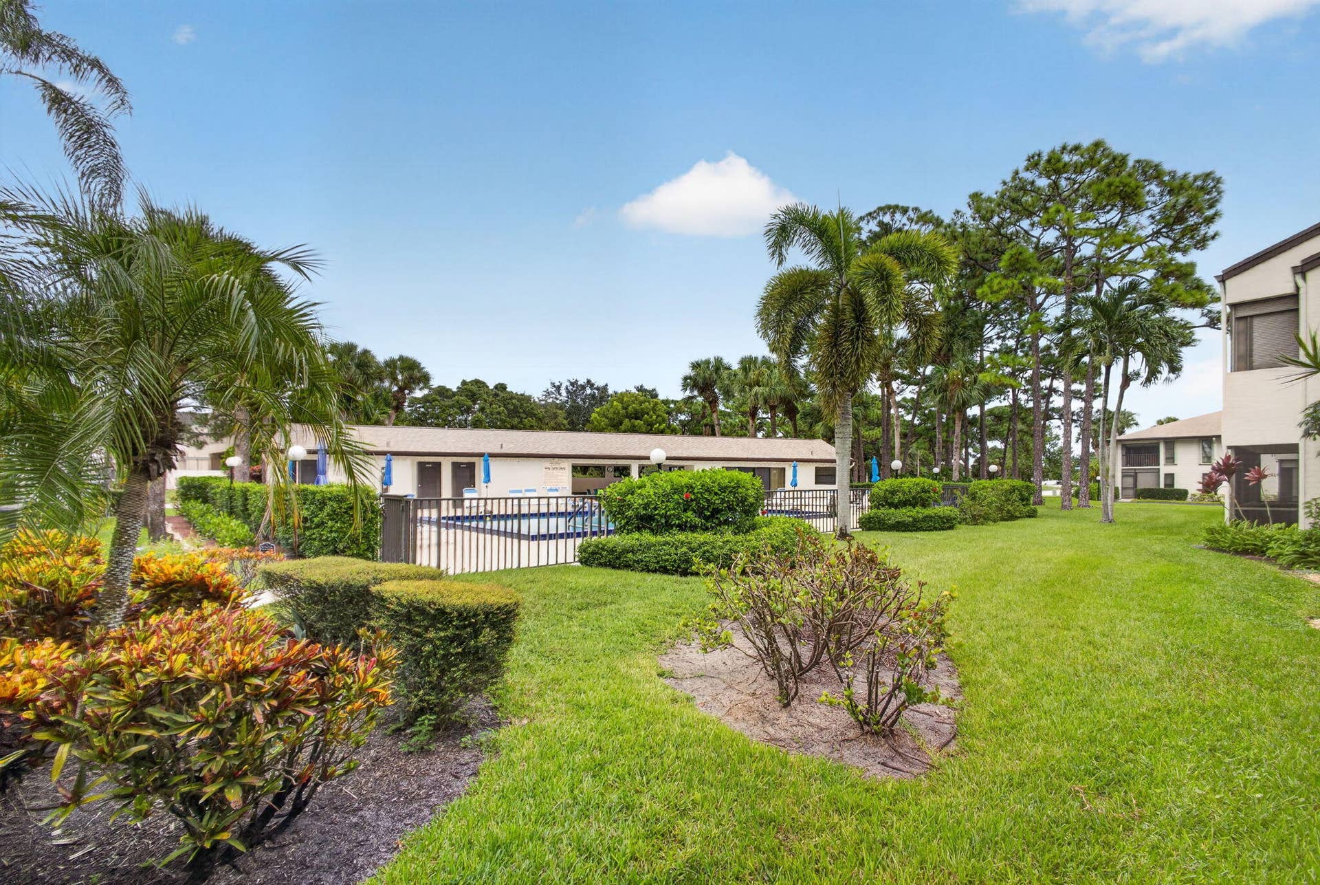 39-web-or-mls-5D1A6892