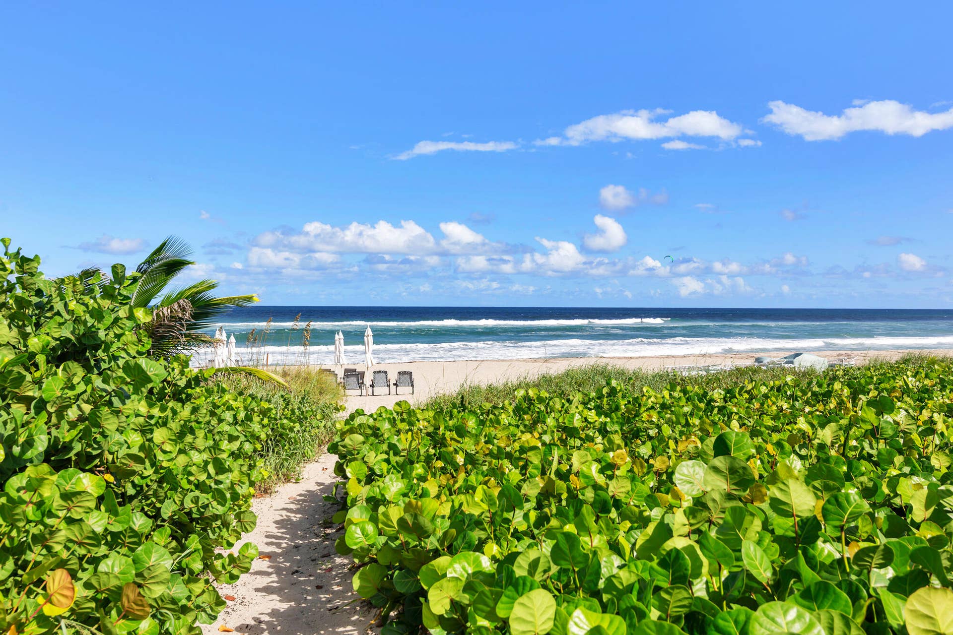 2784 S OCEAN Boulevard, #301E, Palm Beach, Palm Beach, FL 33480 Your own beach entrance