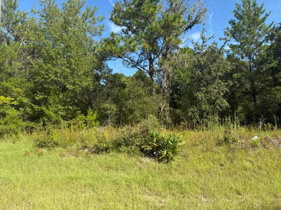 Property photo for Tbd 79th terrace Road, Dunnellon, FL