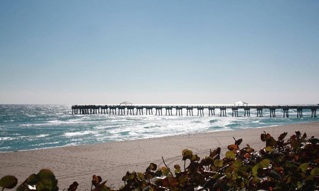 1605 S US HIGHWAY 1, #F106, Jupiter, FL 33477 Juno Pier