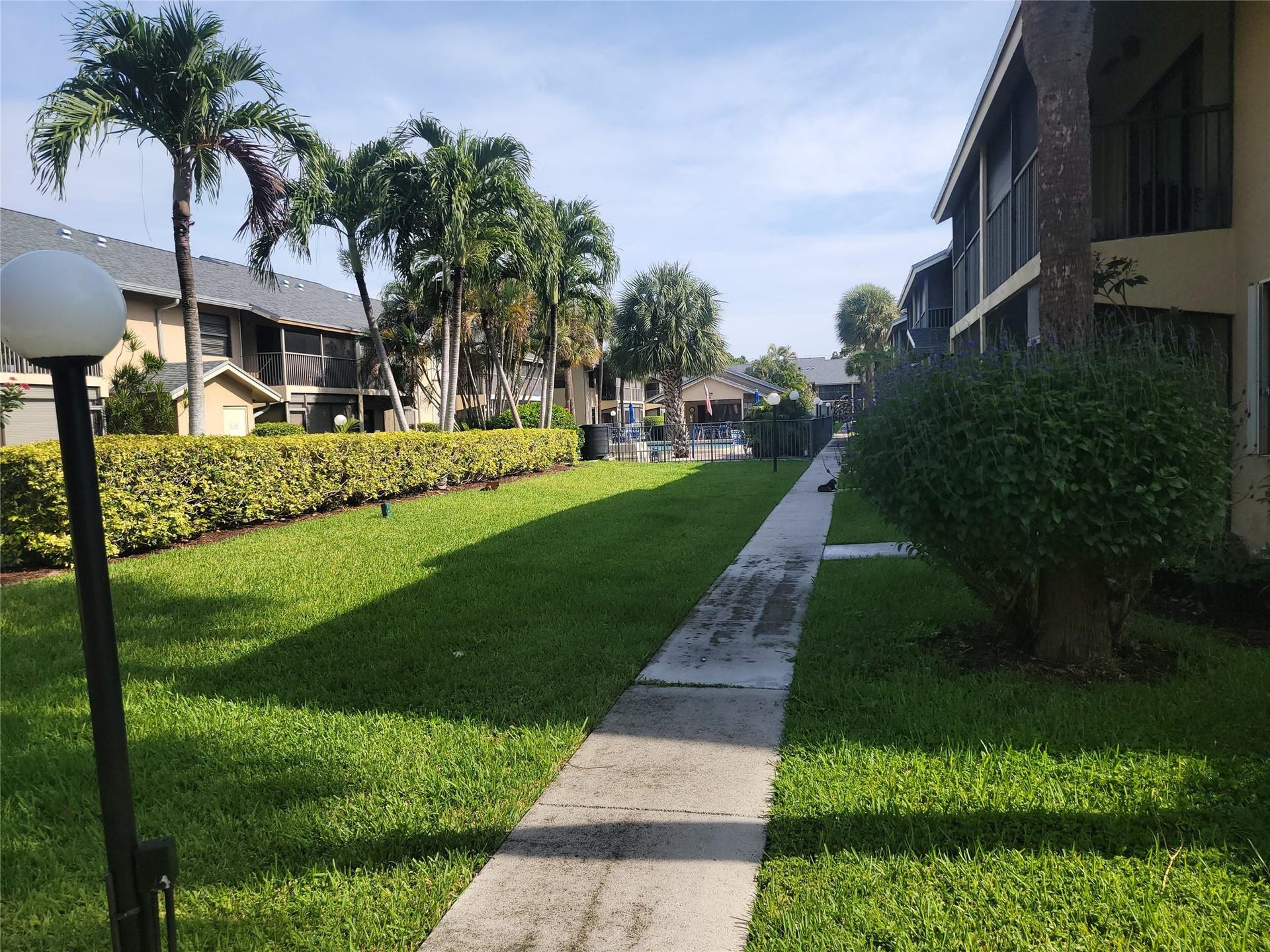 1001 SE 6TH Avenue, #127, Deerfield Beach, Deerfield Beach, FL 33441 Manicured lawn with mature palm trees and established hedging