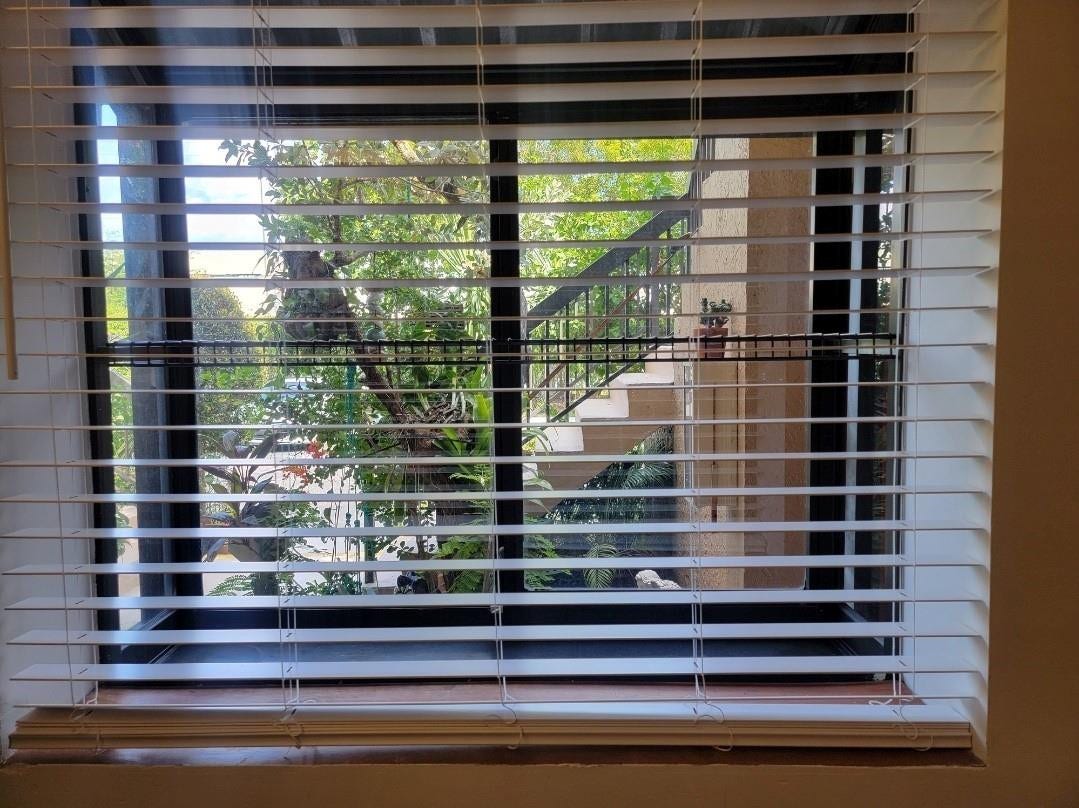 1001 SE 6TH Avenue, #127, Deerfield Beach, Deerfield Beach, FL 33441 Window with white horizontal blinds