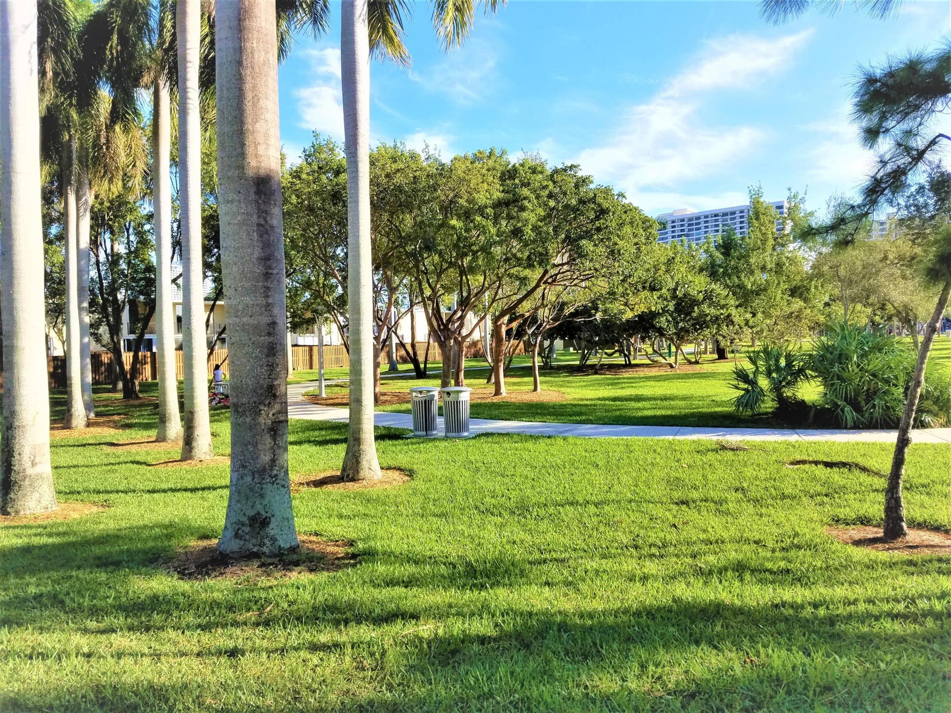 Park with exercise path