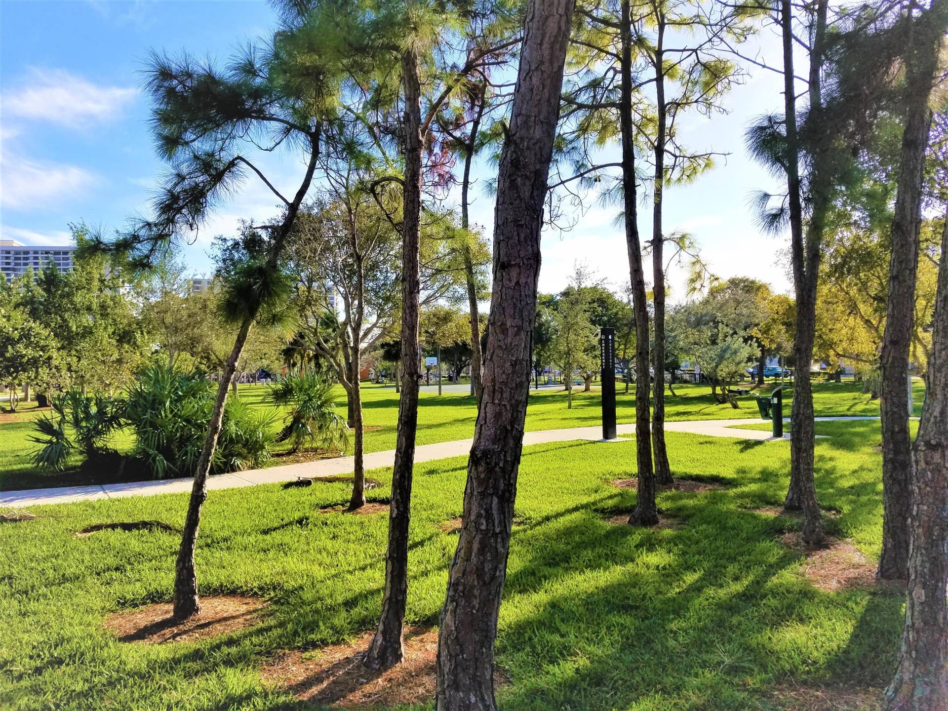 Park