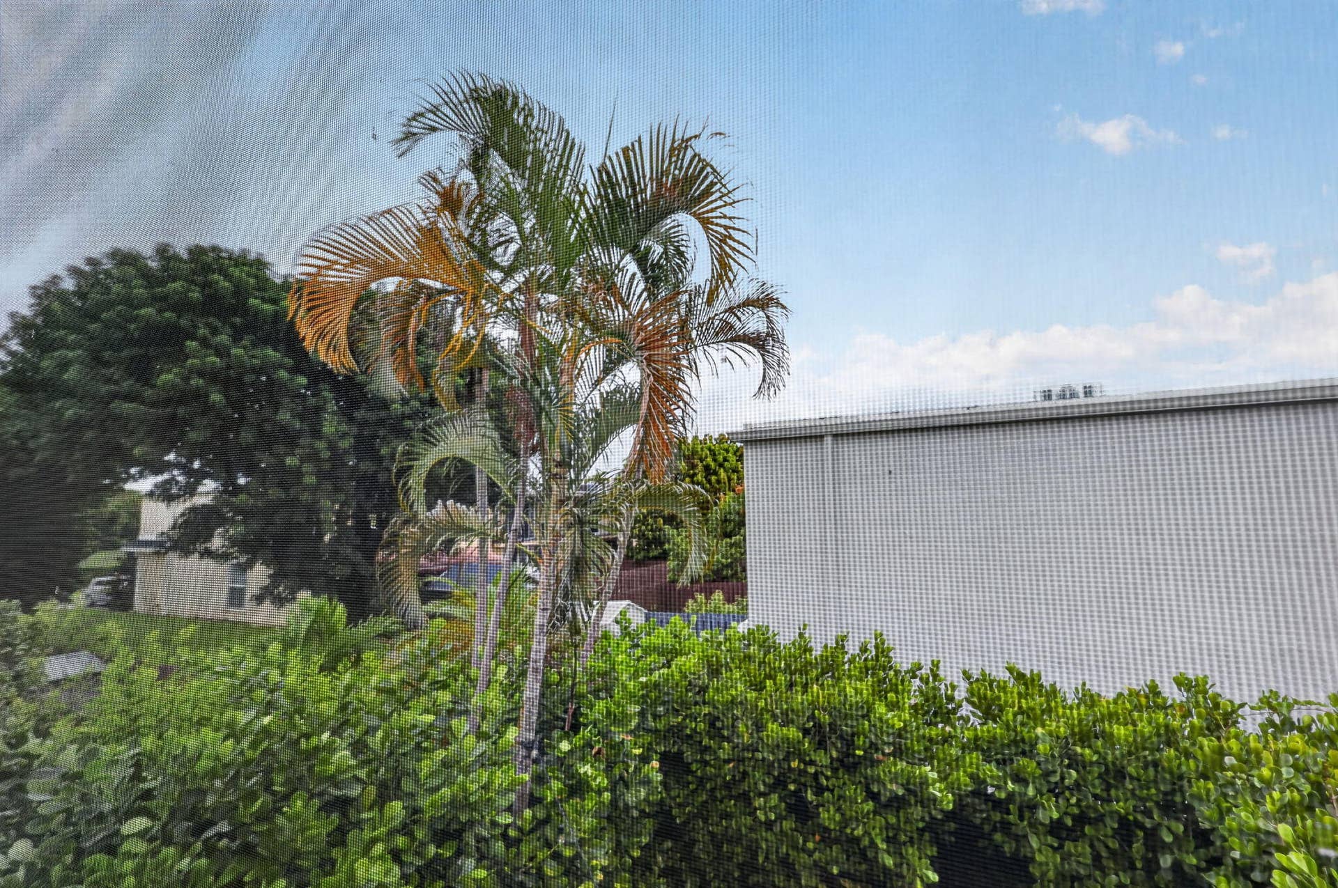 42-web-or-mls-8H3A5056