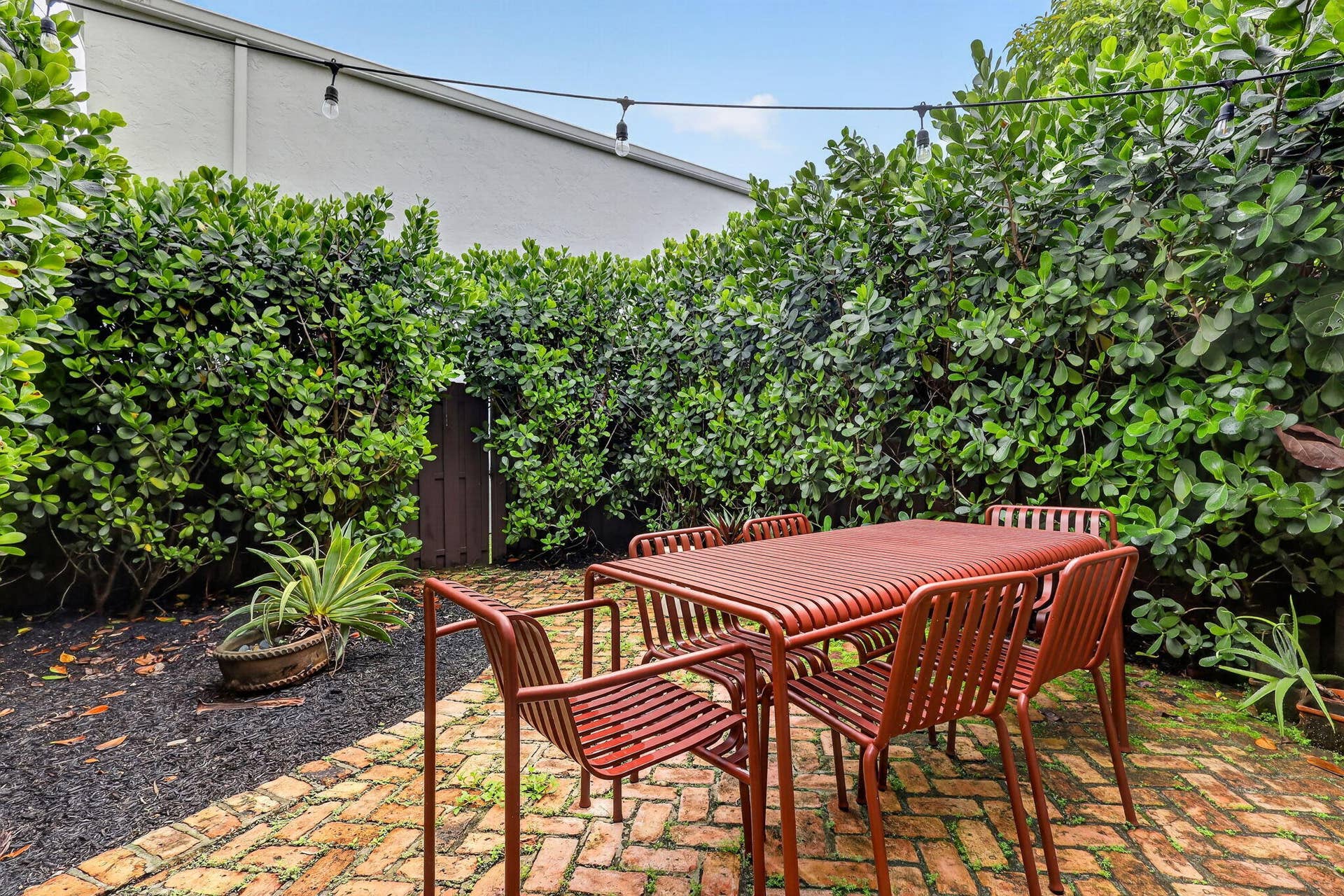 51-web-or-mls-8H3A5233