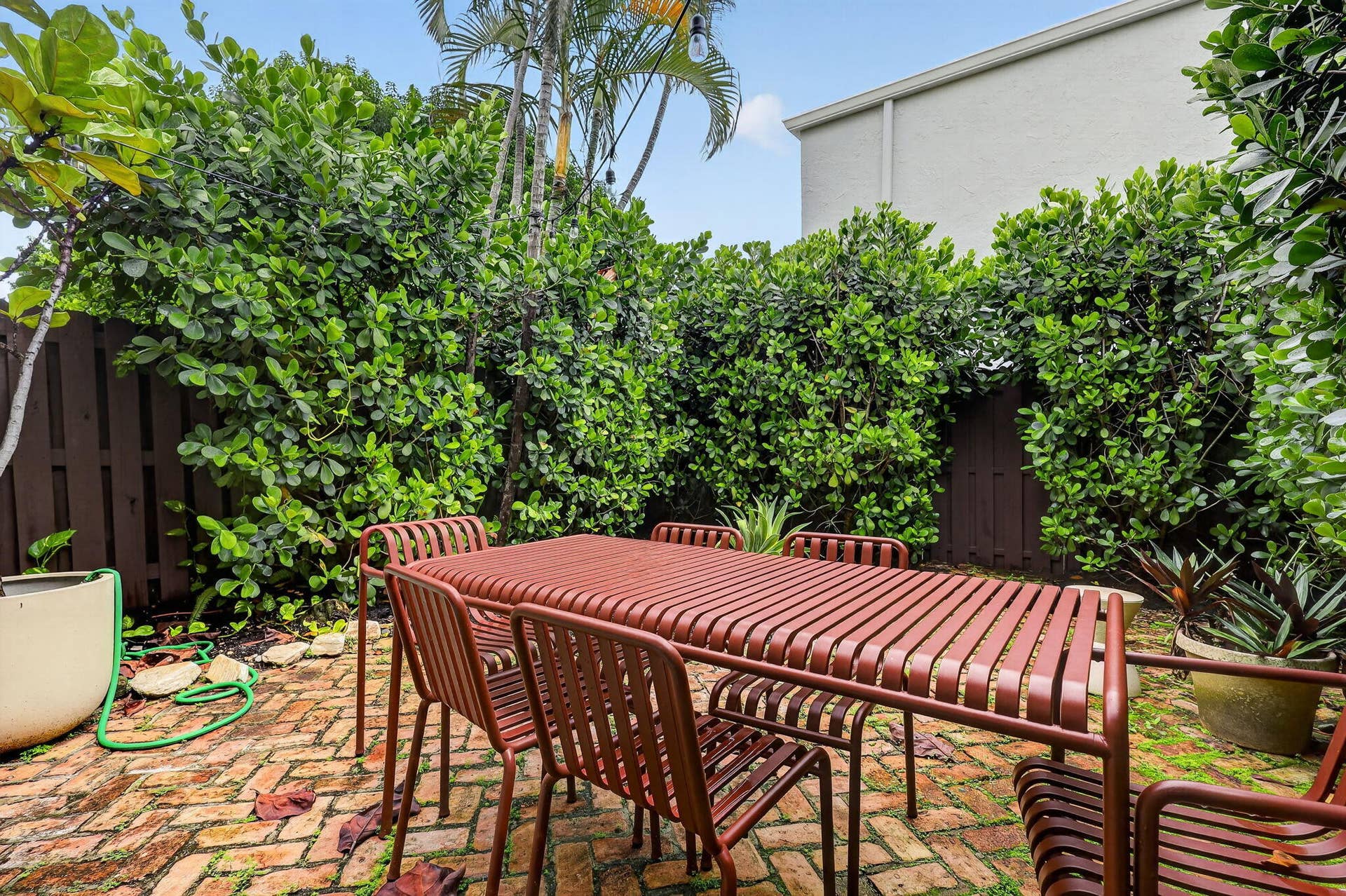 52-web-or-mls-8H3A5237