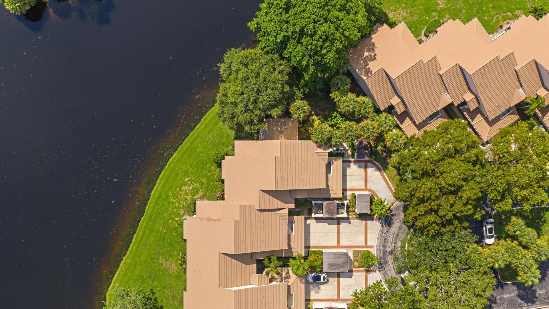 Ariel View