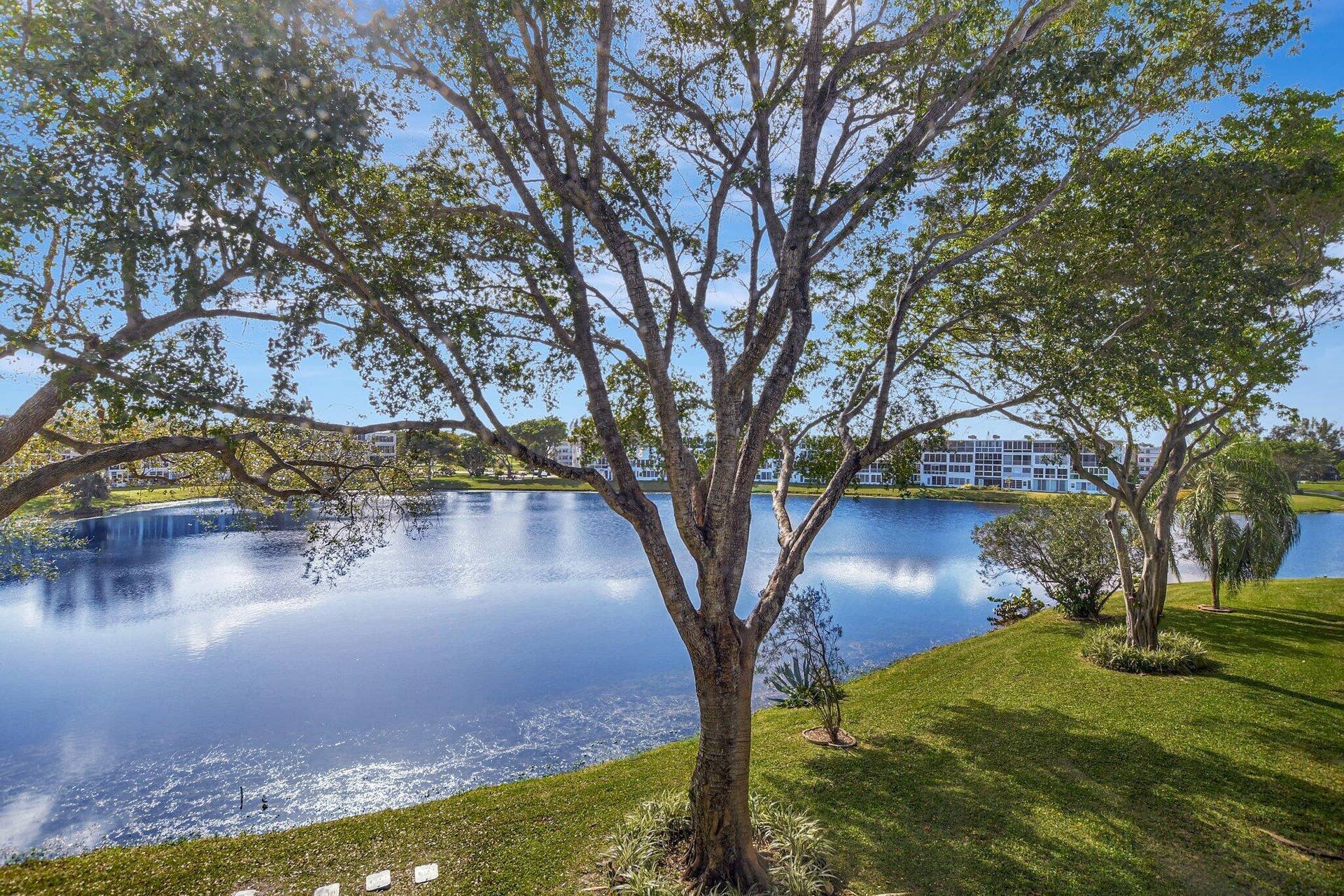 2051 Cambridge C, Deerfield Beach, FL 33442 24-web-or-mls-DSC_3081