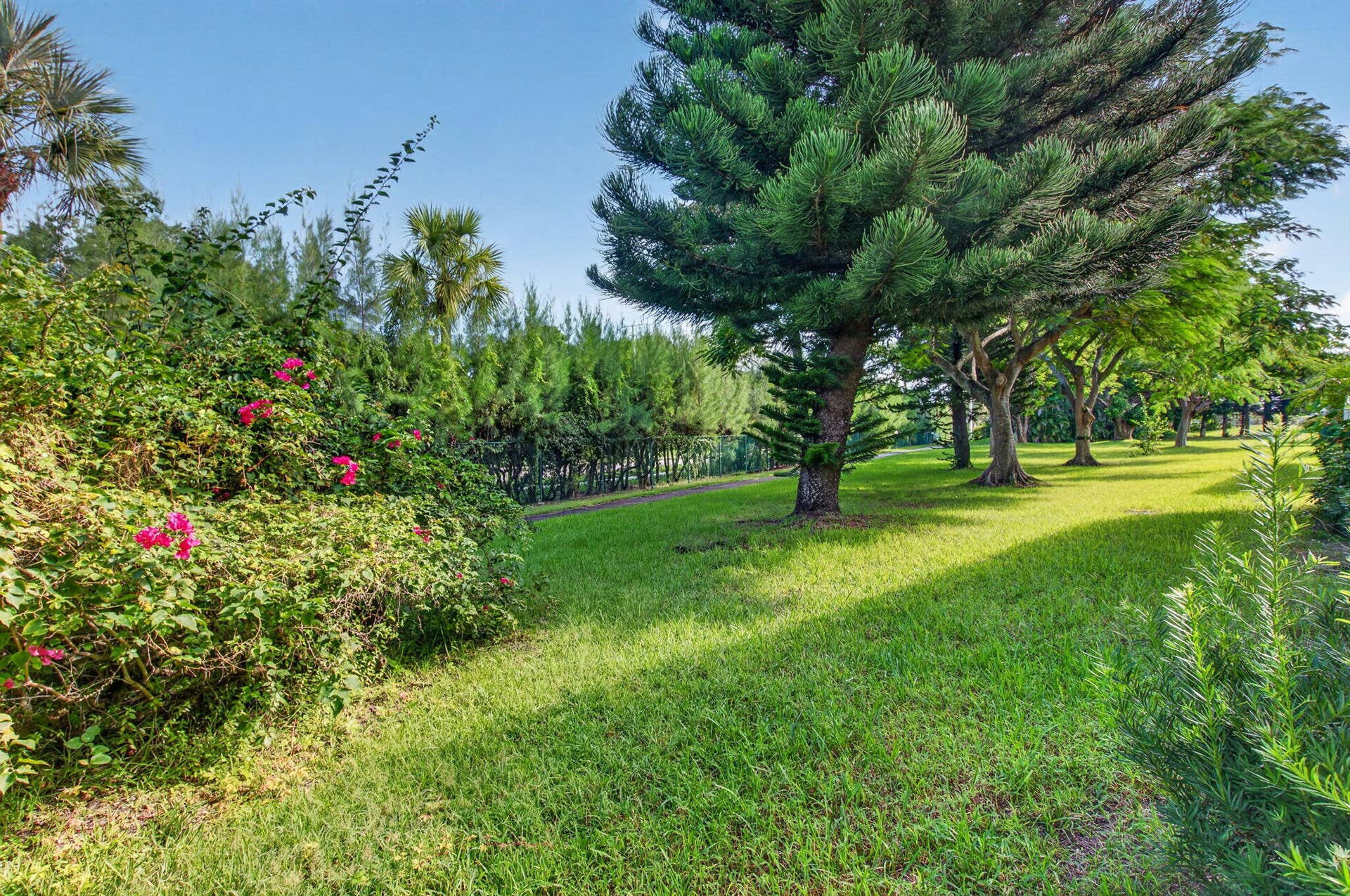 2320 SW 22nd Avenue, #211, Delray Beach, FL 33445 Garden views featuring mature trees, diverse plantings, and vibrant pink flowering shrubs