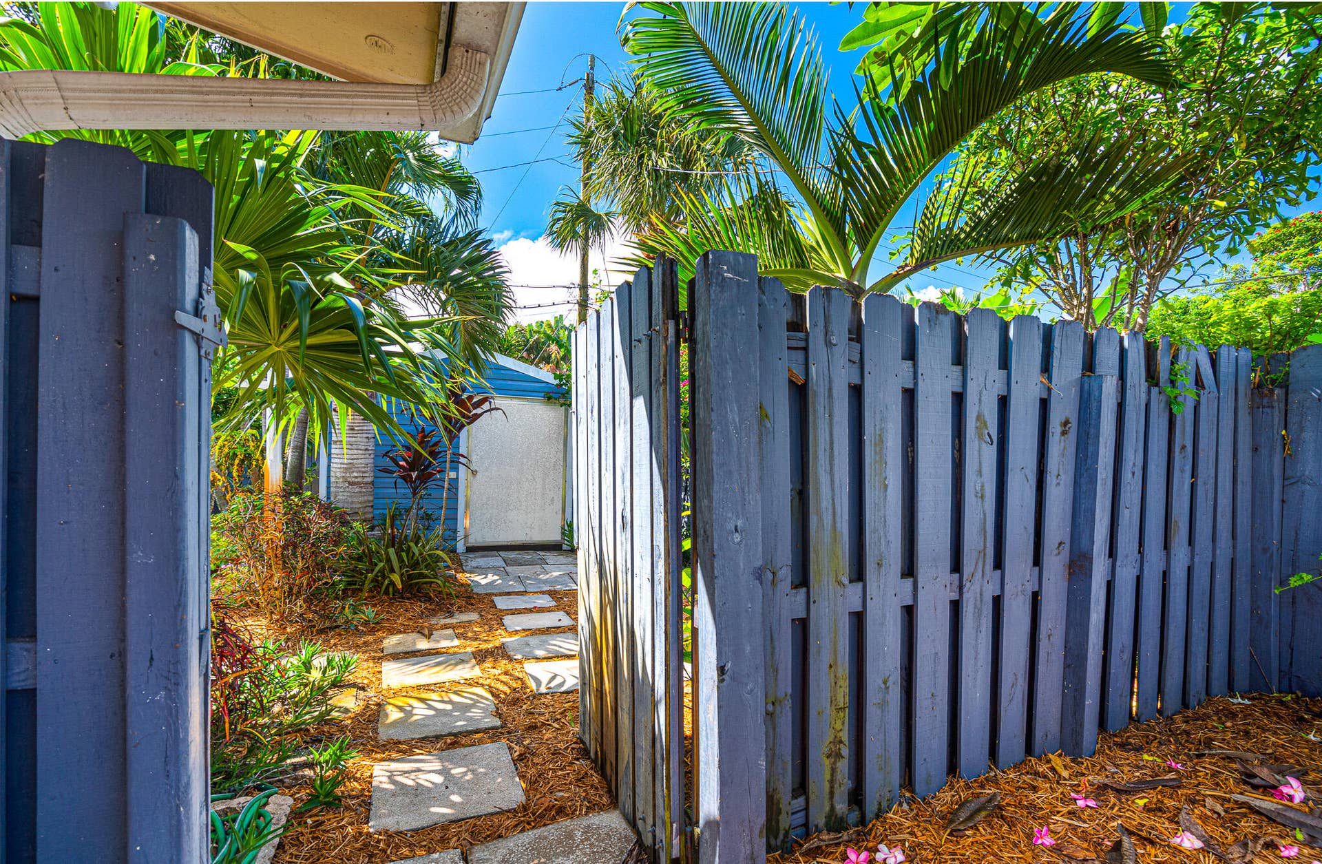 3697 NE 16TH Avenue, Oakland Park, FL 33334 Side yard entrance