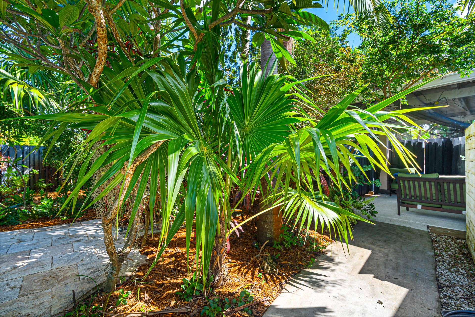 3697 NE 16TH Avenue, Oakland Park, FL 33334 Walk way to Patio