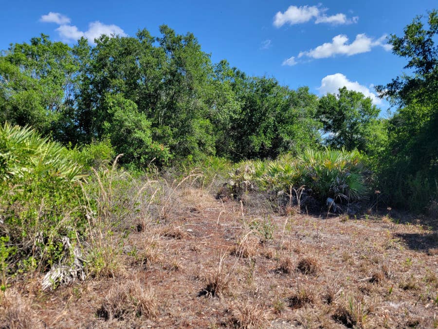 Property photo for 17591 NW 280TH Street, Okeechobee, FL