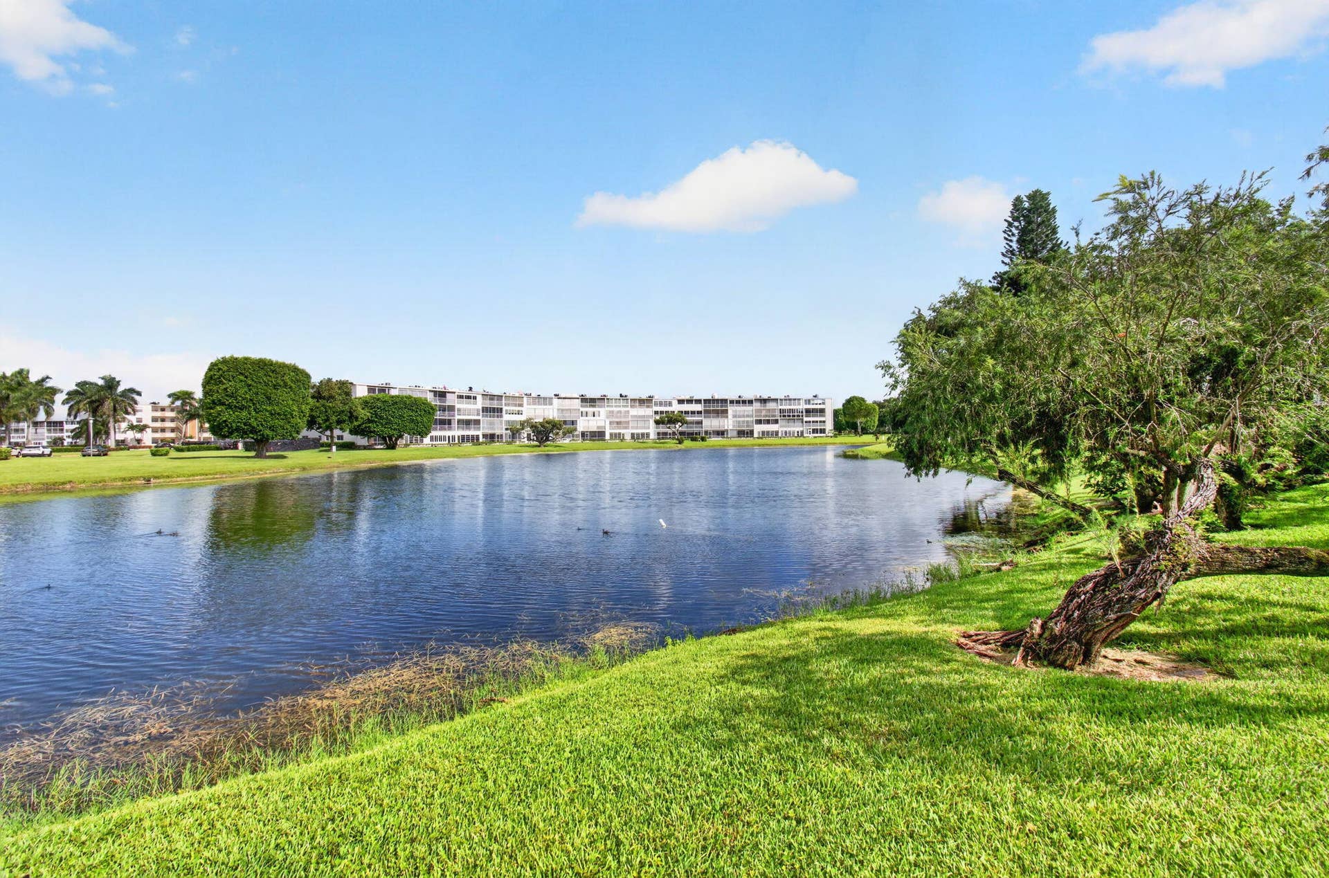 4028 Hythe B, Boca Raton, FL 33434 66-web-or-mls-DSC_8579