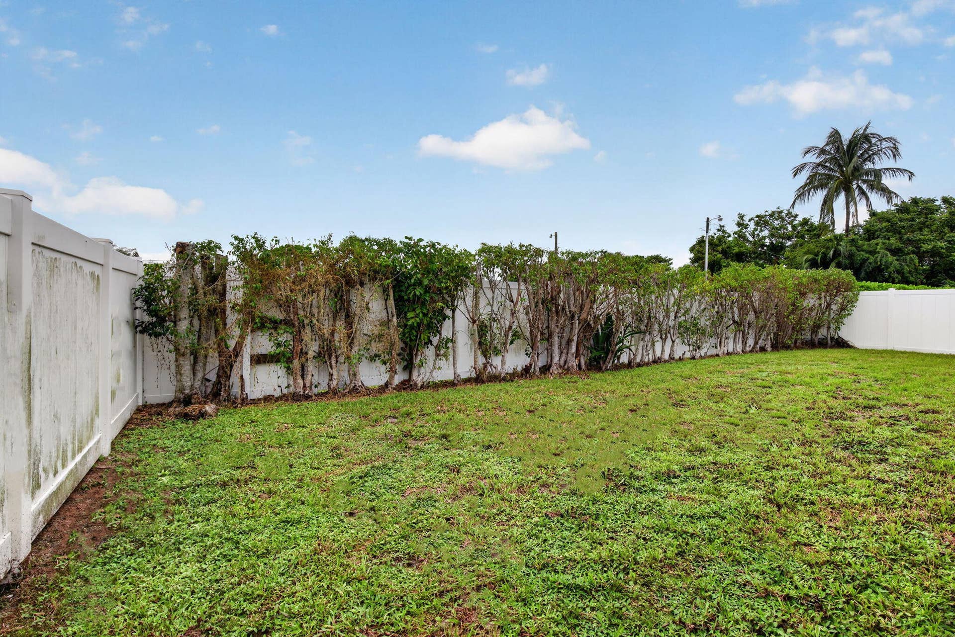 900 SE 2ND Avenue, Dania Beach, FL 33004 42-web-or-mls-_A7A9581