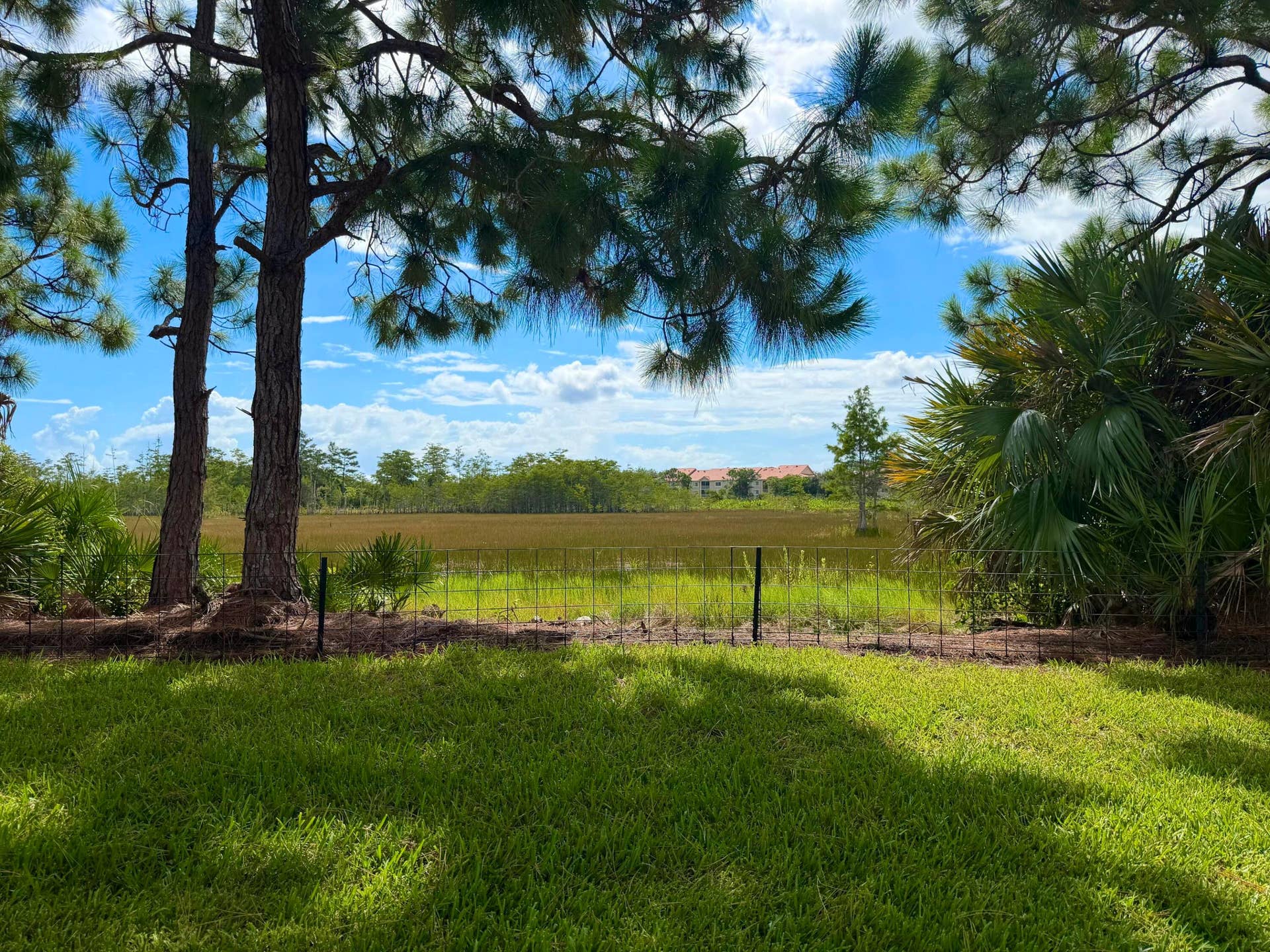 9110 Bay Harbour Circle, West Palm Beach, FL 33411 View From backyard