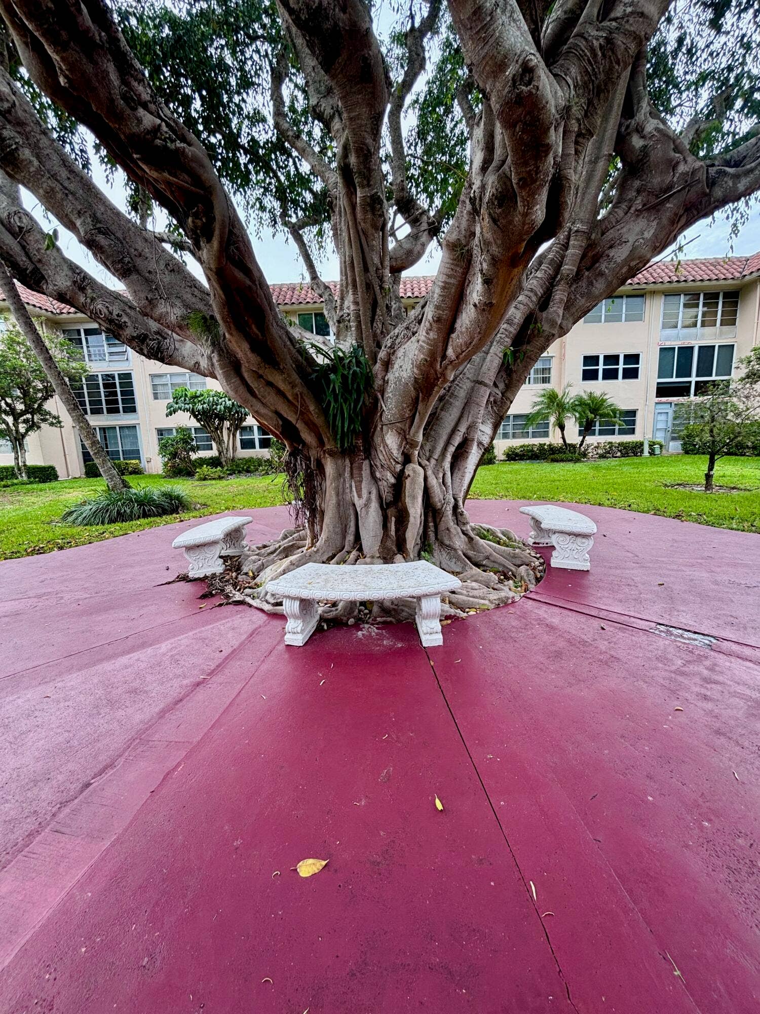 400 NE 20TH Street, #B208, Boca Raton, FL 33431 exterior