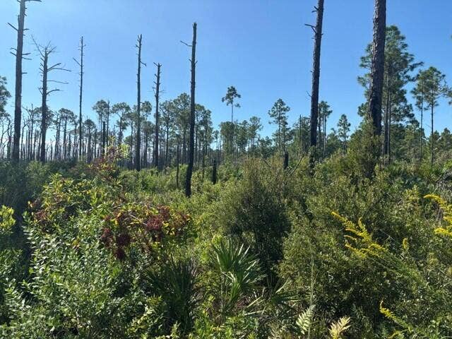Property photo for 0 Hwy 630e, Frostproof, FL