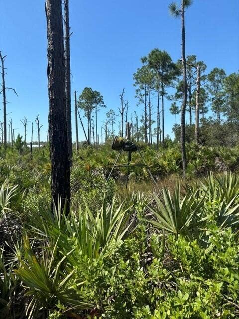 Property photo for 0 Hwy 630e, Frostproof, FL