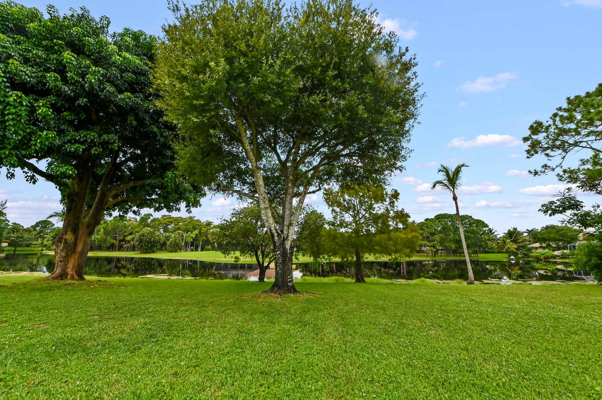 36 Backyard 01