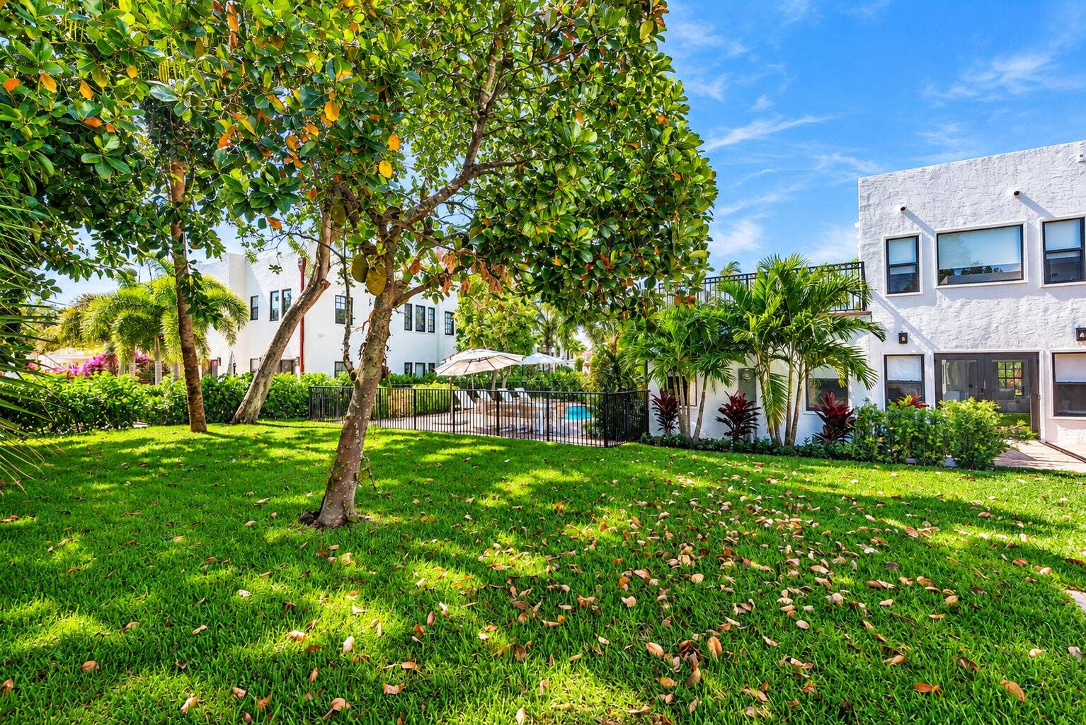 237/225 Monroe Drive, West Palm Beach, FL 33405 237 - Backyard