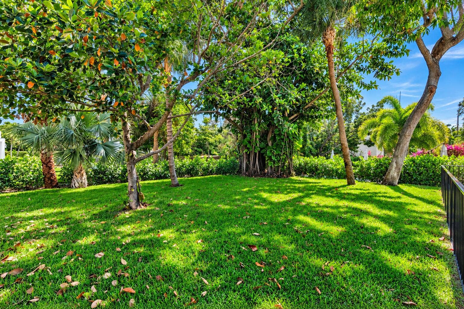 237/225 Monroe Drive, West Palm Beach, FL 33405 237 - Backyard